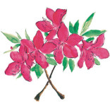 내달 분홍빛 세상 위해… 군포 철쭉 7천본 심어요