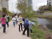 수원 원일초, 원천리천 환경보호 봉사