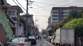 거미줄 사라진 동네… 주민 맘 속 거미줄도 사라져