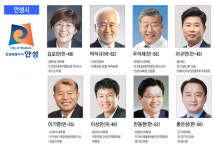 2018년 6·13 지방선거 경기도 안성시