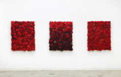 양주시립미술창작스튜디오 777레지던스에 둥지 튼 입주작가 5人 소개