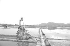 염부, 소금밭에 돌아오다… 시흥 갯골생태공원서 염전 소금제 개최