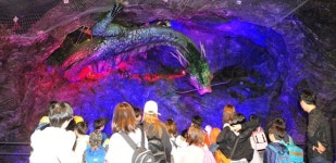 동굴 냉기에 땀 실종… 공룡체험에 오싹  광명에 가면 더울 틈이 없다