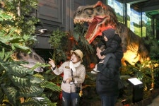  광명동굴 공룡체험전  30만7천명 찾았다