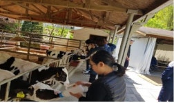 알프스 소녀 부럽지 않은 온가족 목장체험