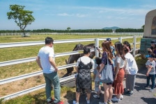 가족과 함께 고양서 렛츠런 팜 목장 투어 즐겨요