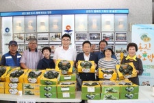 영양 만점인  옹진 섬 단호박 직거래로 사세요