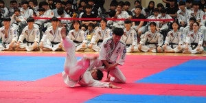 탑핏30속초종합격투기고려전통무예원 | 한자리에 모인 무예인들 더위 격파 '화끈한 승부'
