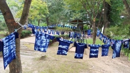 이천 송곡초교 전교생 참여 자생풀 활용 천연염색 체험