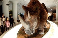 낮과 밤 모두 즐겨요!… 힐링 가득한 가을여행