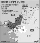 돼지열병 완충지역 연천 농장서 14번째 확진