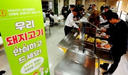 돼지고기 안심하시고 마음껏 드세요