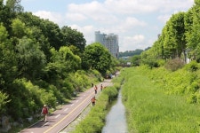 과천 양재천 수질·냄새 민원 이젠 안녕