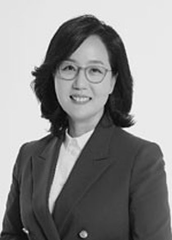 고양정 김현아 