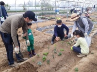 고양농업기술센터,  텃밭 가꾸기 현장교육 실시