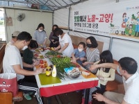 고양 가족들  텃밭에서 노올~ 고양!