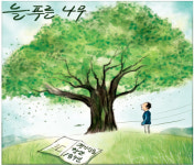 [물둘레]늘푸른나무