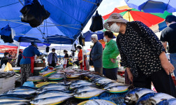 활기 되찾은 모란시장