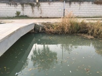 수원천 일원에 탁류와 악취 발생···시 현장조사 나서 원인 파악 계획