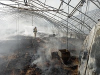 안성 미양면 정동리의 한 육계농장서 화재… 병아리 11만8000두 불타