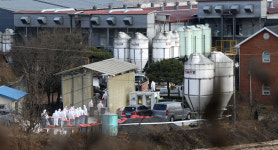 예방적 살처분을 진해하는 산란계 농장