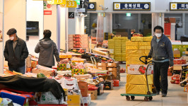 선물세트 배송에 분주한 청과시장