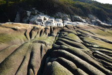 인천 섬을 가다 19 - 자연과 역사 , 문화유산 찾아 떠나는 자월도