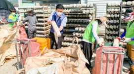 하나님의 교회, 전남 광양 버섯농장서 일손 보태… 어려운 시기 극복에 동참
