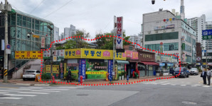 [단독]하남시청 맞은편인데… 불법 대형 건축물 버젓