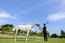 완연한 초가을 날씨... 한가로운 시간 보내는 백마