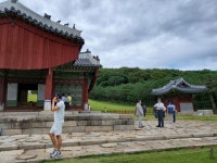 김포 장릉, 문화재보호법 위반한 도시개발 위협 속 관람객 줄이어