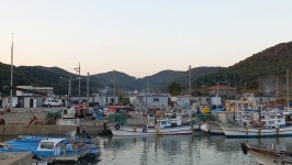 인천 섬을 가다 50 -남포리 장촌(長村) 이야기