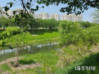 황구지천 ‘생태계 파괴’ 안돼…수원시, 환경단체와 갈등