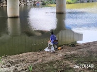수달서식지 황구지천 불법 낚시 ‘기승’…단속에 걸려봤자 안내·계도 ‘유명무실’