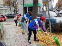 인천 남동구 구월1동 행정복지센터∙통장협의회, 합동 낙엽 정비
