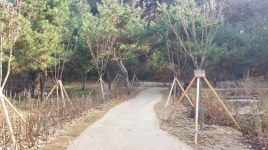 수원시, 숙지공원 훼손지를 친환경 생태숲으로 ‘복원’