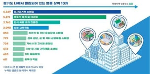 성남은 ‘전자상거래·소매업’, 동두천은 ‘부동산 중개업’ 집중 분포