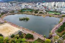 봄에 도시 수원이 추천하는 10대 꽃길 명소