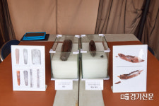 양주대모산성 ‘태봉국 목간’ 최초공개