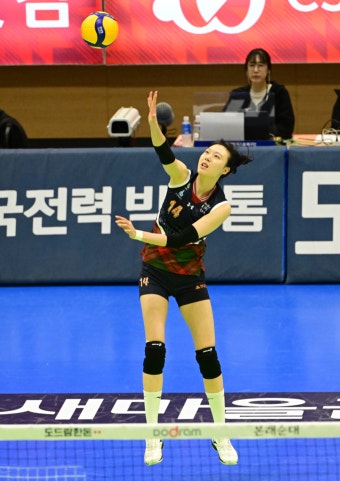 프로배구 수원 현대건설, 정관장 상대로 선두 굳히기 발판 마련 도전