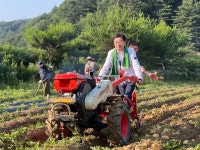 전진선 양평군수, 옥천면 행복나눔 감자캐기 행사 동참