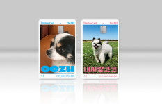 신한카드, 반려동물 생애주기 맞춤형 혜택 담은 더펫 카드’ 출시