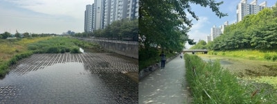 계산천 물길 고작 1.3㎞도 관리 안 되는데…윤환 계양구청장 “제2의 청계천으로 만들겠다”
