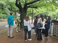 수원시, 팔달산로 왕벚나무 200주 건강 진단