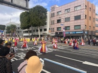 [제62회 수원화성문화제] 수원화성을 물들인 박수와 함성…2025 정조대왕 능행차 공동재현 개최