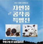 인천 부평구청 굴포갤러리 자연물 공작품 특별전