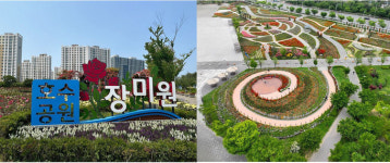 김포한강신도시 호수공원 장미원 명소 각광