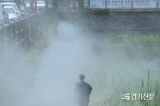 [포토] 폭염 속 지동교 시원한 안개길