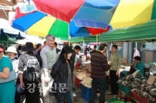 정선 도민체전 지역경기 한 몫 톡톡