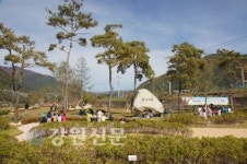 정선 녹송공원 녹색나눔숲 숲사랑 캠페인